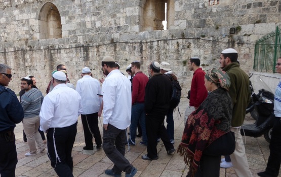 الأقصى مفتوح لليهود طوال شهر رمضان وجماعات الهيكل المزعوم تعتبر اغلاقه ولو ساعة امر مرفوض