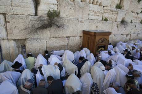 أكثر من 30 ألف متطرف يهودي يؤدون صلوات تلمودية بساحة البراق