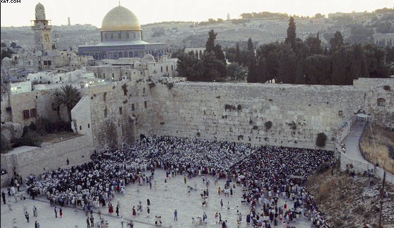 الاف المتطرفين اليهود يؤدون صلوات تلمودية في ساحة البراق
