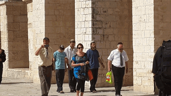 قريع اقتحامات المستوطنين للأقصى سلوك إجرامي ونهج تهويدي استيطاني