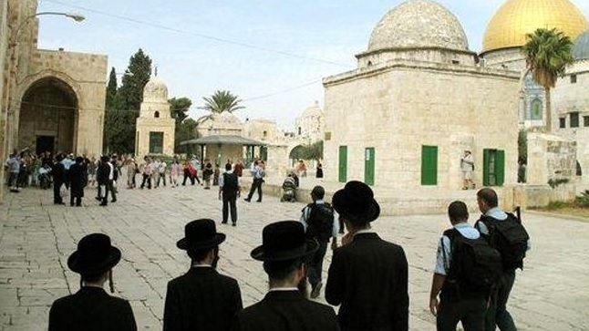 التحذير من شروع متطرفين يهود بالصلاة العلنية في باحات الأقصى