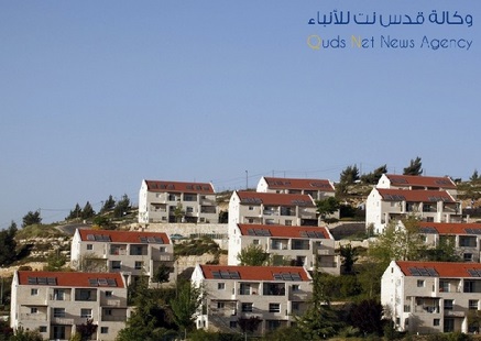 شؤون القدس تستنكر مناقشة مخطط لبناء 142 وحدة استيطانية بالقدس