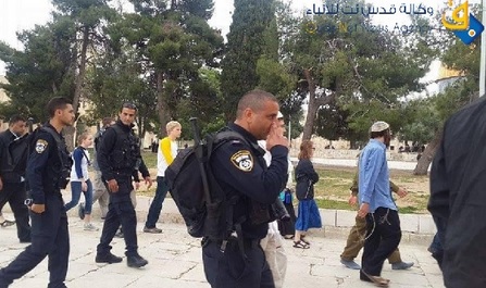 مستوطنون يقتحمون الأقصى وسط حالة من التوتر
