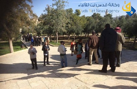 مستوطنون يقتحمون الأقصى بعد 13 يوما من إغلاقه بوجههم