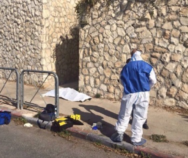 إعدام فتى بدم بارد على اراضي مصادرة لصالح المستوطنين بالقدس