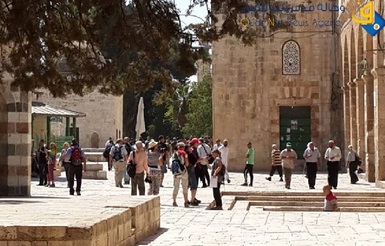 مستوطنون يقتحمون الأقصى والاحتلال يواصل حصاره عسكريا