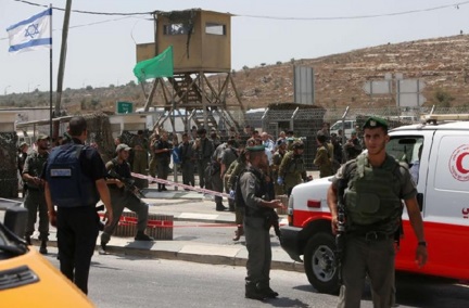 ثلاث شهداء منذ الصباح